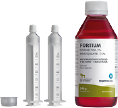 FORTIUM